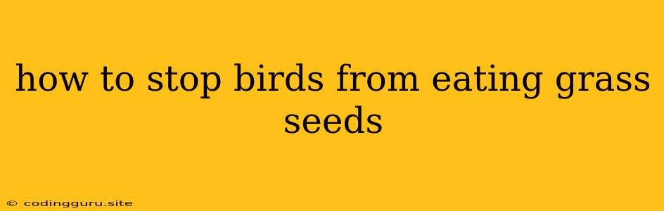 How To Stop Birds From Eating Grass Seeds