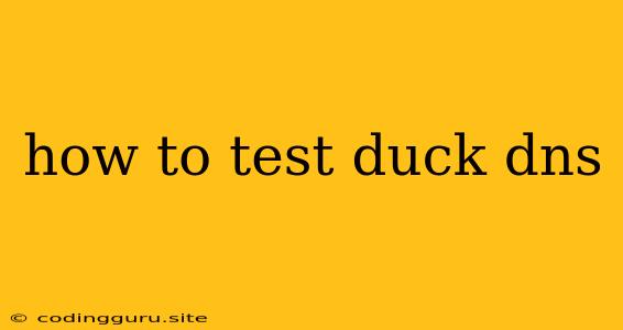 How To Test Duck Dns