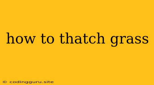 How To Thatch Grass