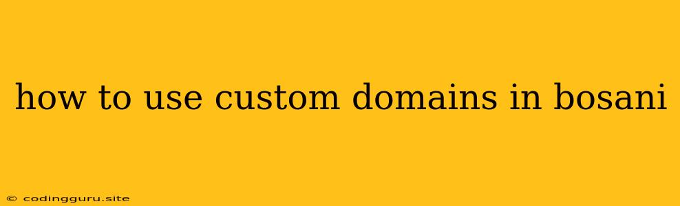 How To Use Custom Domains In Bosani