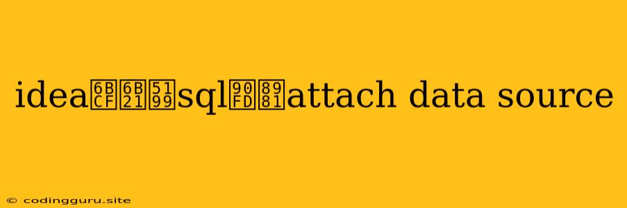 Idea每次写sql都要attach Data Source