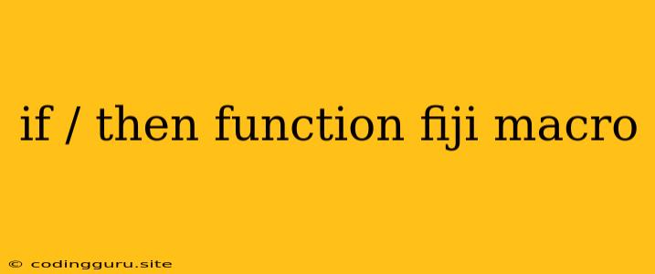 If / Then Function Fiji Macro