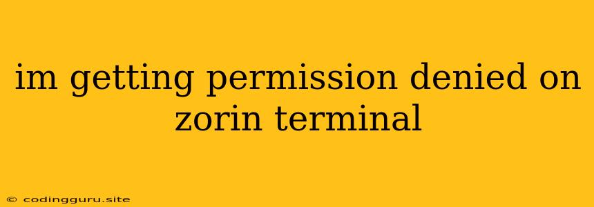 Im Getting Permission Denied On Zorin Terminal