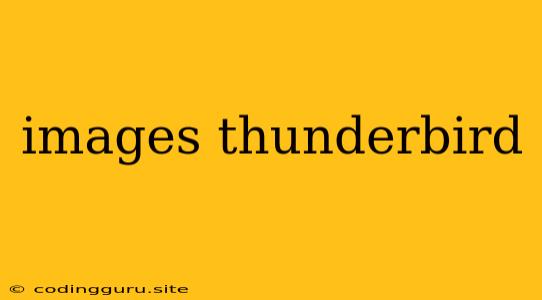 Images Thunderbird