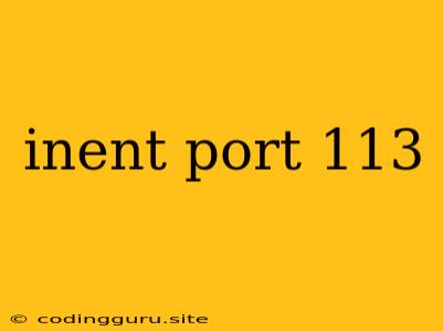 Inent Port 113