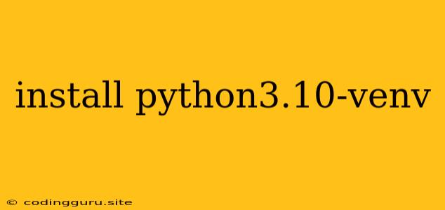 Install Python3.10-venv