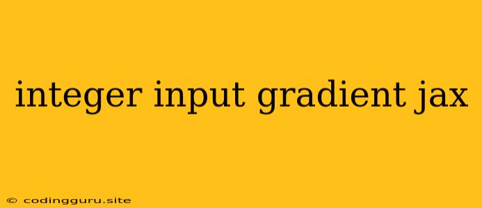 Integer Input Gradient Jax