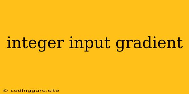 Integer Input Gradient