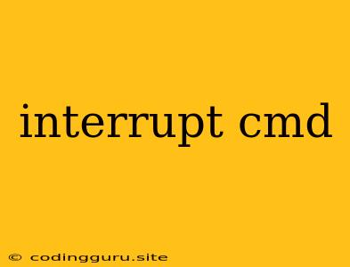 Interrupt Cmd