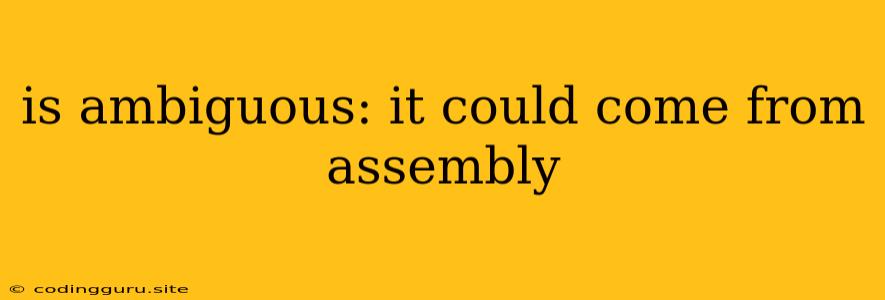 Is Ambiguous: It Could Come From Assembly