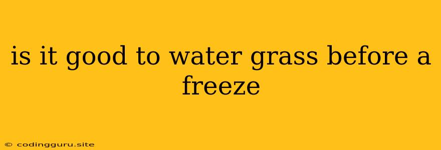 Is It Good To Water Grass Before A Freeze