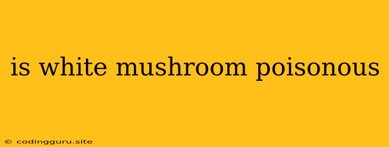 Is White Mushroom Poisonous