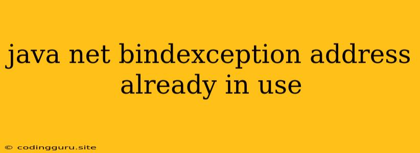 Java Net Bindexception Address Already In Use