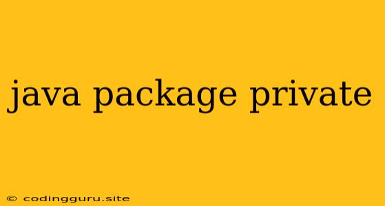 Java Package Private