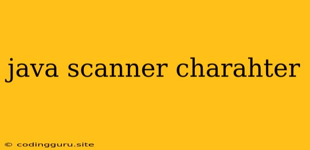 Java Scanner Charahter