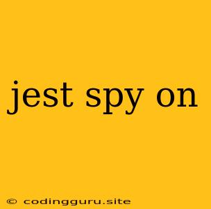 Jest Spy On