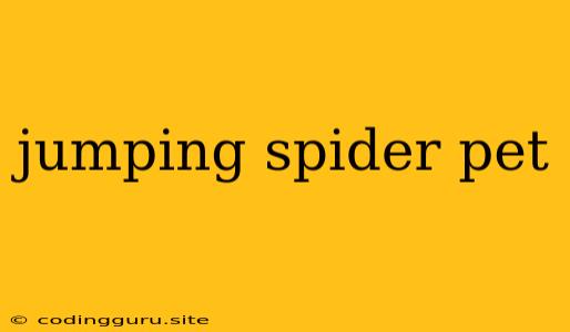 Jumping Spider Pet