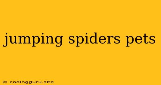 Jumping Spiders Pets