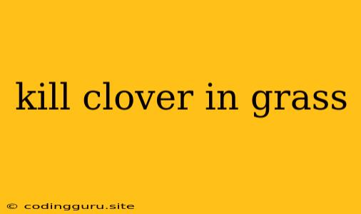 Kill Clover In Grass