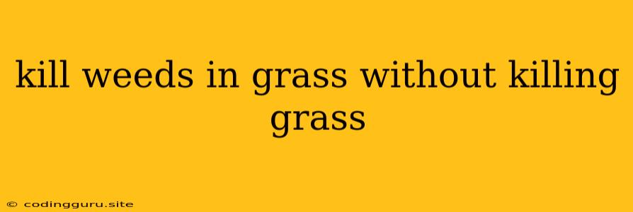 Kill Weeds In Grass Without Killing Grass