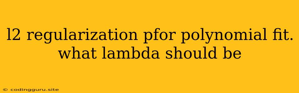 L2 Regularization Pfor Polynomial Fit. What Lambda Should Be