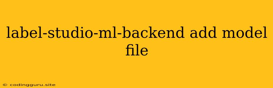 Label-studio-ml-backend Add Model File