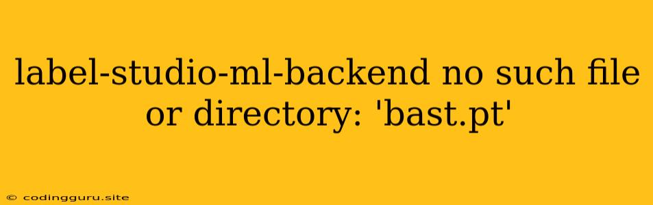 Label-studio-ml-backend No Such File Or Directory: 'bast.pt'