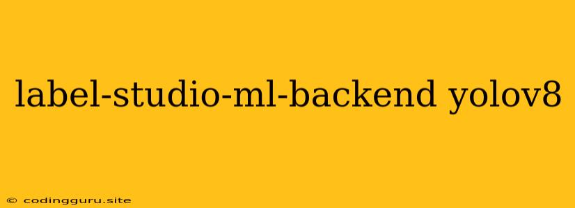 Label-studio-ml-backend Yolov8