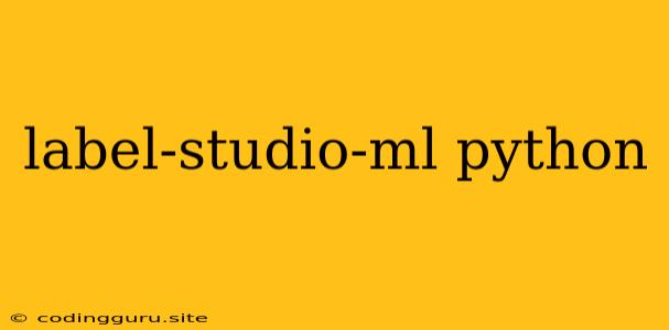 Label-studio-ml Python