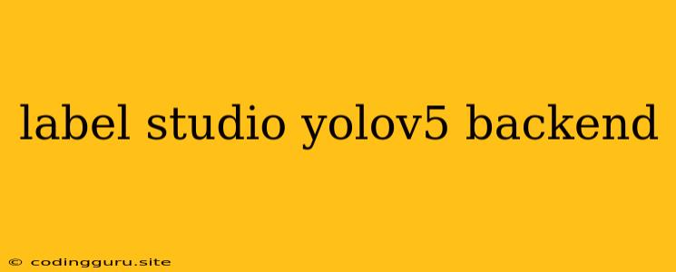 Label Studio Yolov5 Backend