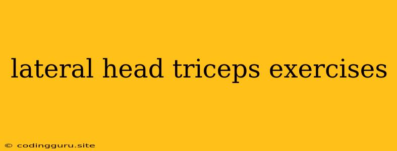 Lateral Head Triceps Exercises