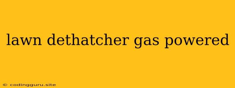 Lawn Dethatcher Gas Powered