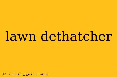 Lawn Dethatcher