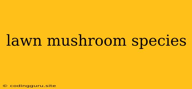 Lawn Mushroom Species