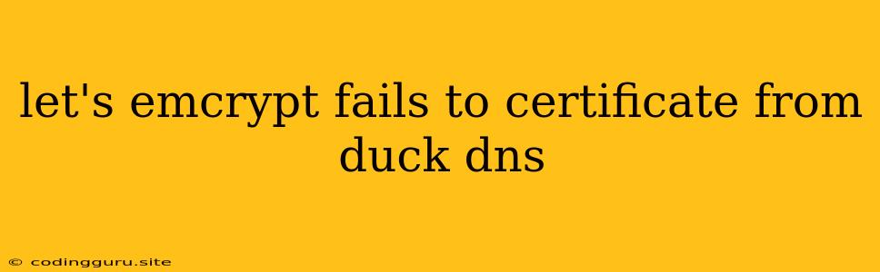 Let's Emcrypt Fails To Certificate From Duck Dns