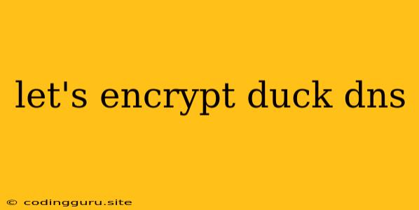 Let's Encrypt Duck Dns