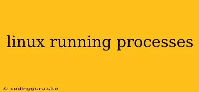 Linux Running Processes