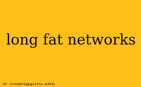 Long Fat Networks