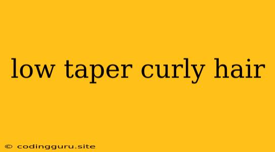 Low Taper Curly Hair