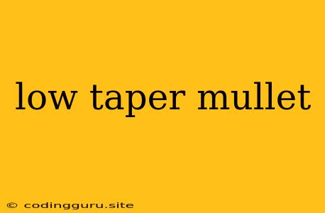 Low Taper Mullet