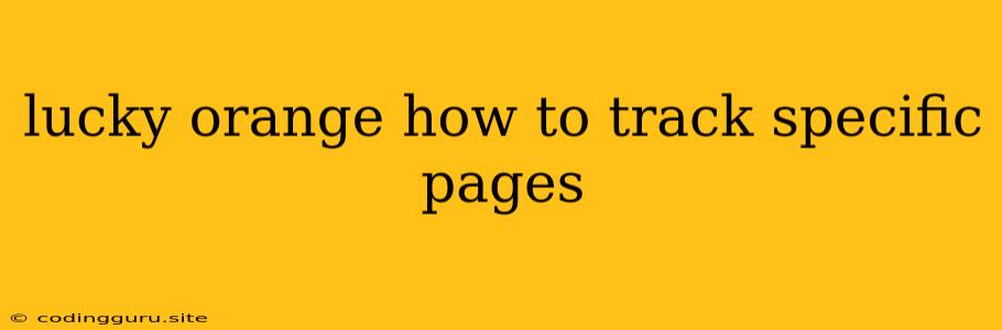 Lucky Orange How To Track Specific Pages