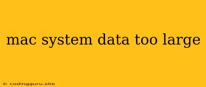 Mac System Data Too Large