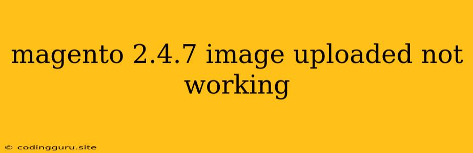 Magento 2.4.7 Image Uploaded Not Working