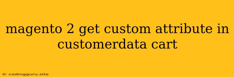 Magento 2 Get Custom Attribute In Customerdata Cart