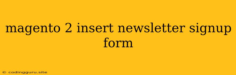 Magento 2 Insert Newsletter Signup Form