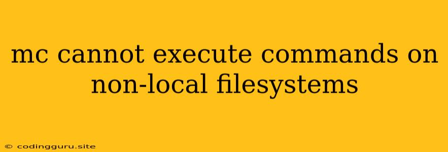 Mc Cannot Execute Commands On Non-local Filesystems