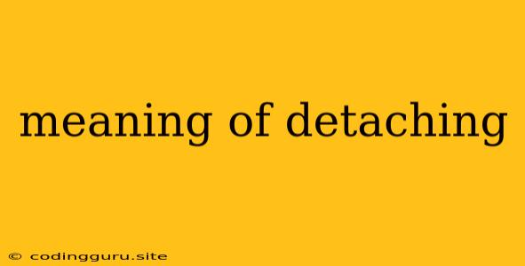 Meaning Of Detaching