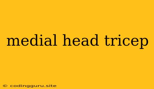 Medial Head Tricep