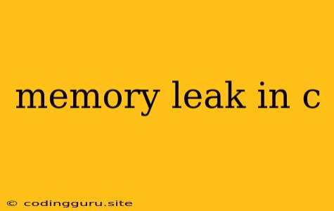 Memory Leak In C