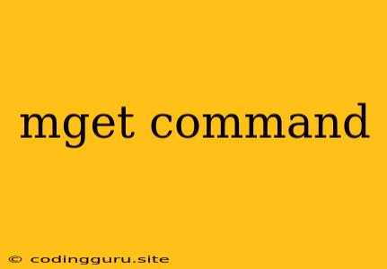 Mget Command